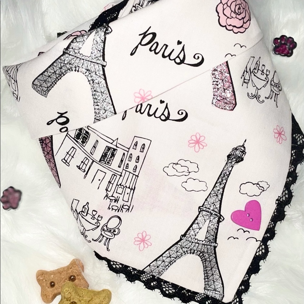 Pet Bandana - Pink Paris